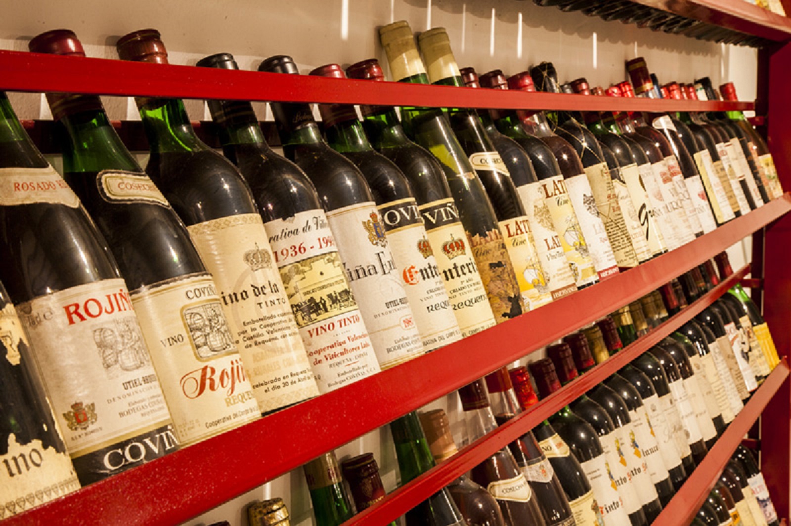 ¡Conoce la cultura del vino a través de los diferentes museos y exposiciones de la Ruta del Vino!