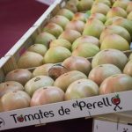De la tierra al mercado: II Semana Toma Tomate en el Mercat Colón