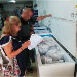 La Guardia Civil halla 600 kilos de pulpo sin control sanitario en un resturante de Santa Pola