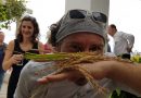 Jornadas de hermandad sobre la cultura del arroz