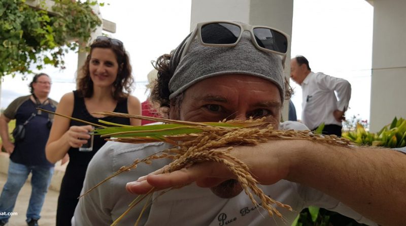 Jornadas de hermandad sobre la cultura del arroz