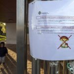 Alertan de una plaga de seta mortal en el Pinar de Castellón