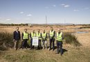 El  ‘Proyecto Cañaveral’ de Heineken avanza con la plantación de especies autóctonas en la cuenca de L’Albufera de València