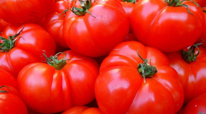 La proteína que ayudó a aumentar cien veces el tamaño de los tomates