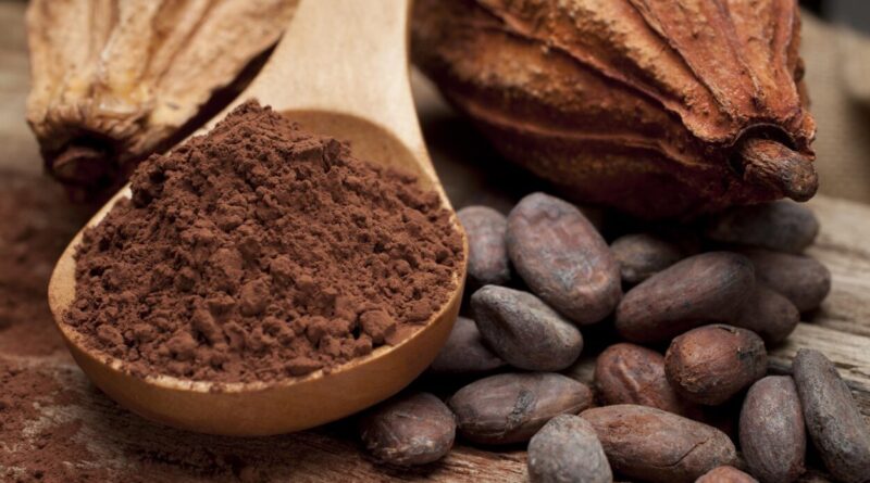 El cacao natural favorece la concentración y el rendimiento mental en personas jóvenes adultas