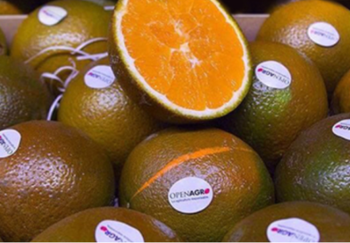 Openagro Fruits forma parte de la compañía dedicada al cultivo en Valencia Openagro