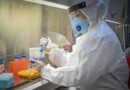 Claves en establecimientos e industria alimentaria para evitar microorganismos patógenos en alimentos, como el norovirus
