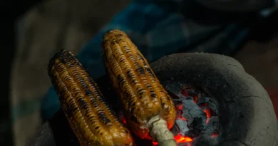 Mazorcas de maíz a la barbacoa: El acompañamiento perfecto para tus parrilladas