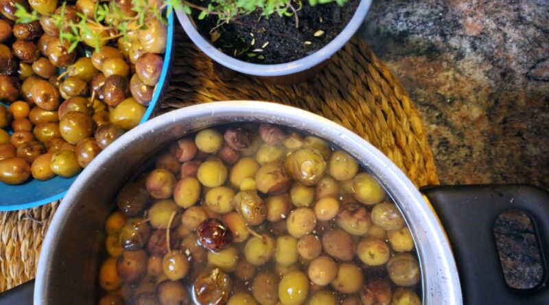 Receta de Aceitunas u olivas Negras en Salmuera